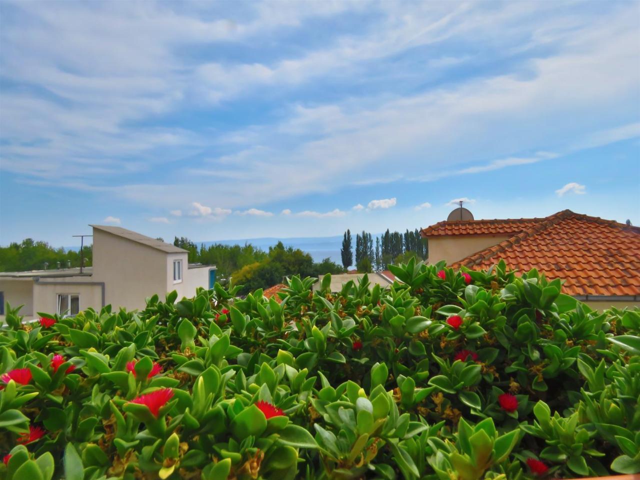 Apartments Zvone Omiš Buitenkant foto